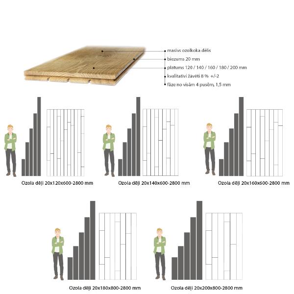 ozolkoka dēļu ģeometriskā proporcija pret cilvēka augumu, var redzēt cik masīvi vai smalki ir dēļi, katram dēļu platuma variējās ozolkoka dēļu garumi,