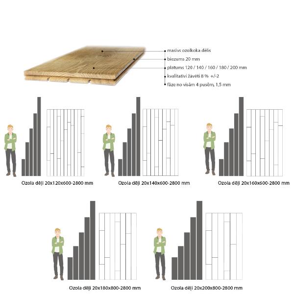 ozolkoka dēļu ģeometriskā proporcija pret cilvēka augumu, var redzēt cik masīvi vai smalki ir dēļi, katram dēļu platuma variējās ozolkoka dēļu garumi,