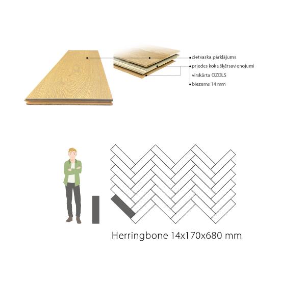 Ozolkoka herringbone dēļi piedāvā harmonisku proporciju pret cilvēka augumu, padarot tos piemērotus gan masīvām, gan smalkām apdarēm. Dēļu platums variē, radot dažādus garumus, un dabīgais vaska pārklājums izceļ ozolkoka tekstūras burvību. Uzlabojiet savu mājokli ar augstākās kvalitātes estētiku!