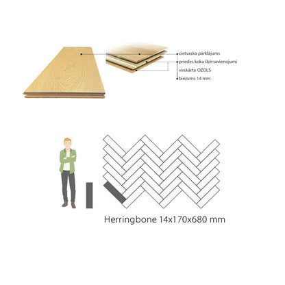 Ozolkoka herringbone dēļi piedāvā harmonisku proporciju pret cilvēka augumu, padarot tos piemērotus gan masīvām, gan smalkām apdarēm. Dēļu platums variē, radot dažādus garumus, un dabīgais vaska pārklājums izceļ ozolkoka tekstūras burvību. Uzlabojiet savu mājokli ar augstākās kvalitātes estētiku!
Augsta estētika un kvalitāte. Latvijas parketa ražotne Amber wood, Stalgen divslāņu un masīvas ozola koka grīdas segumi. Augsta kvalitāte par akcijas cenu. Herringbone, planks, fishbone pattern.

Nē laminātam, Jā 