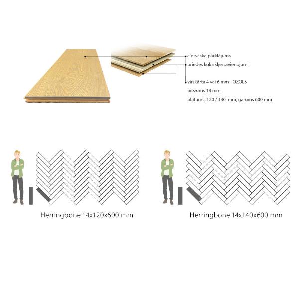 ozolkoka skujiņas herringbone dēļu ģeometriskā proporcija pret cilvēka augumu, var redzēt cik masīvi vai smalki ir dēļi, katram dēļu platuma variējās ozolkoka dēļu garumi,